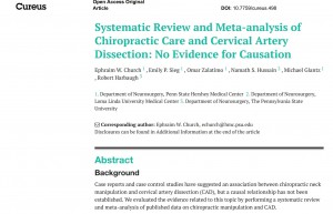 systematic-review